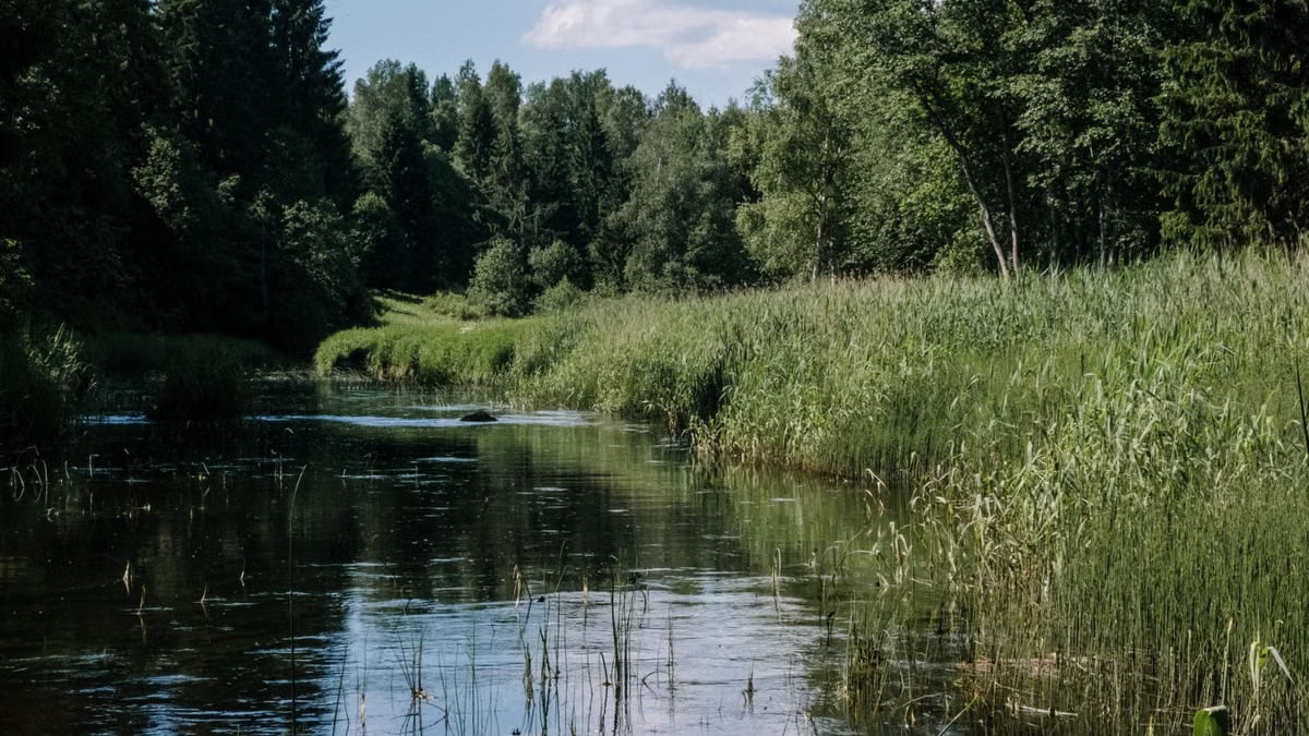 Kuidas luua tervislikku rutiini